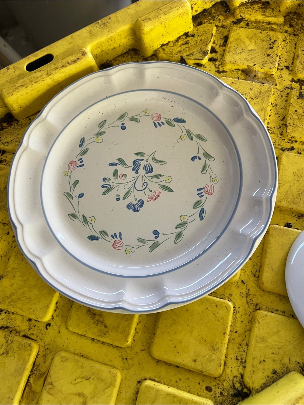 Expressions Cream Dinner Plate with Blue, Green and Pink Floral Wreath